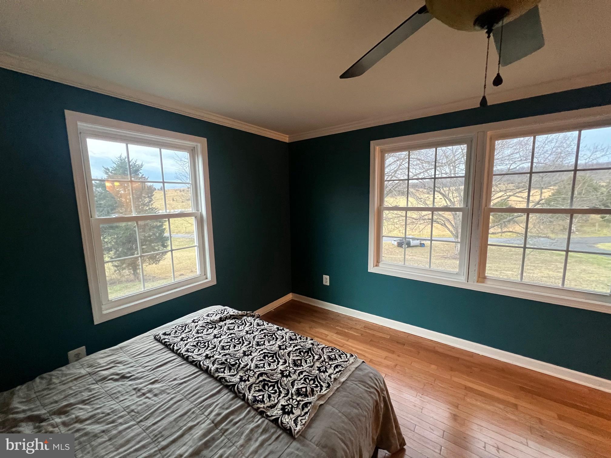 11731 Rocky Meadow Road Clear Spring, MD 21722 - Photo 19 of 41 Beautiful views from the master bedroom