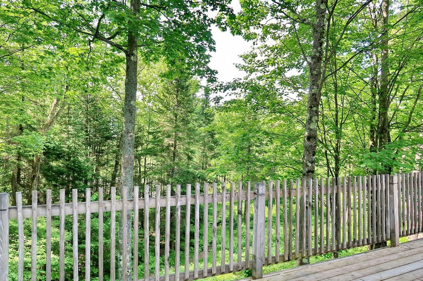 40 Whitcomb Hill Road Bethlehem, NH 03574 - Photo 12 of 35