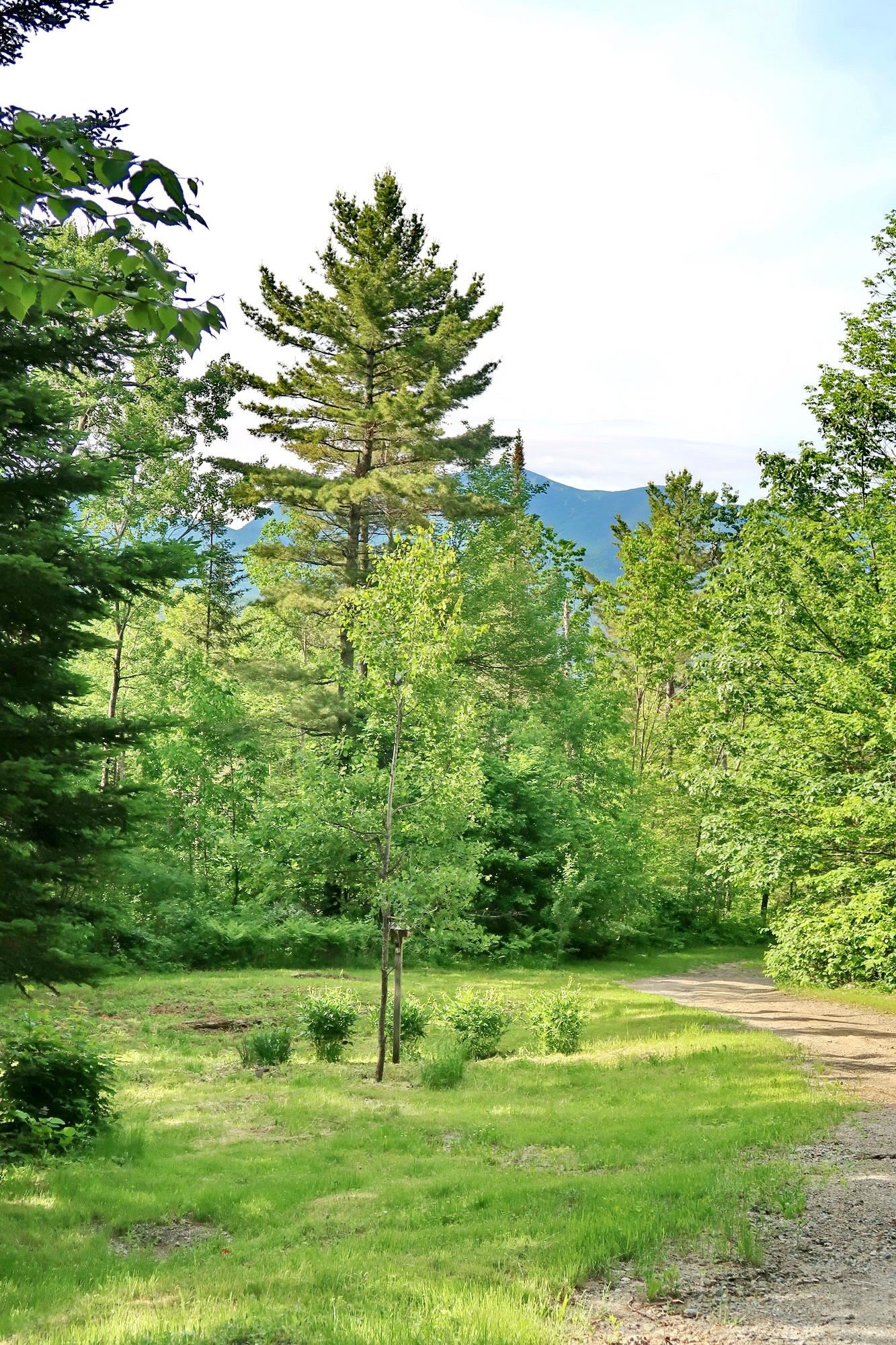 40 Whitcomb Hill Road Bethlehem, NH 03574 - Photo 3 of 35