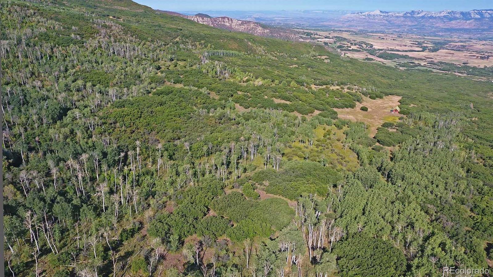 61779 Le Road Collbran, CO 81624 - Photo 12 of 35 Gallery Image 12