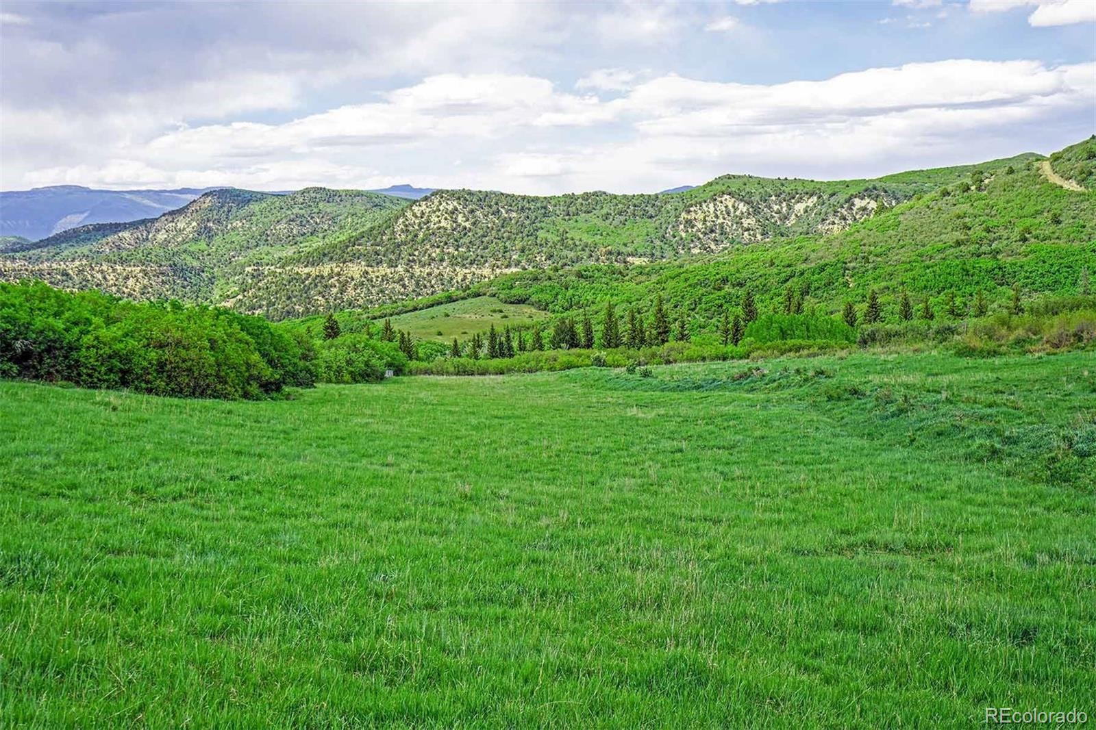 61779 Le Road Collbran, CO 81624 - Photo 14 of 35 Gallery Image 14