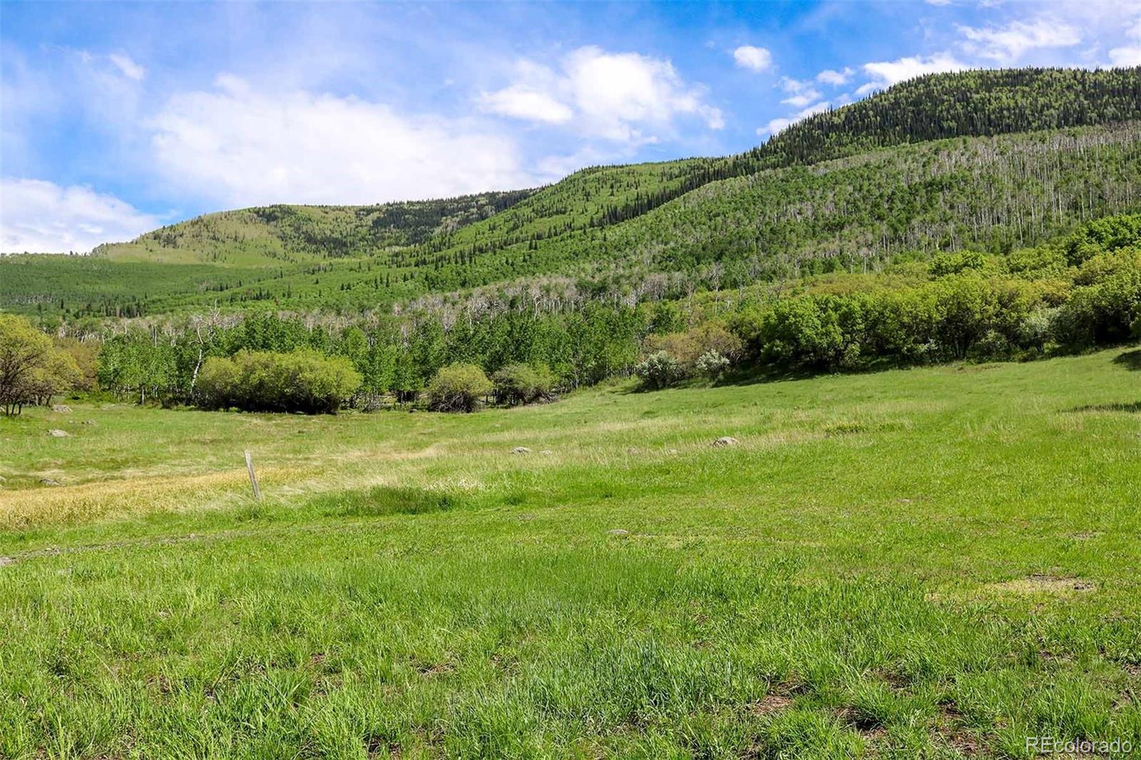61779 Le Road Collbran, CO 81624 - Photo 35 of 35 Gallery Image 35