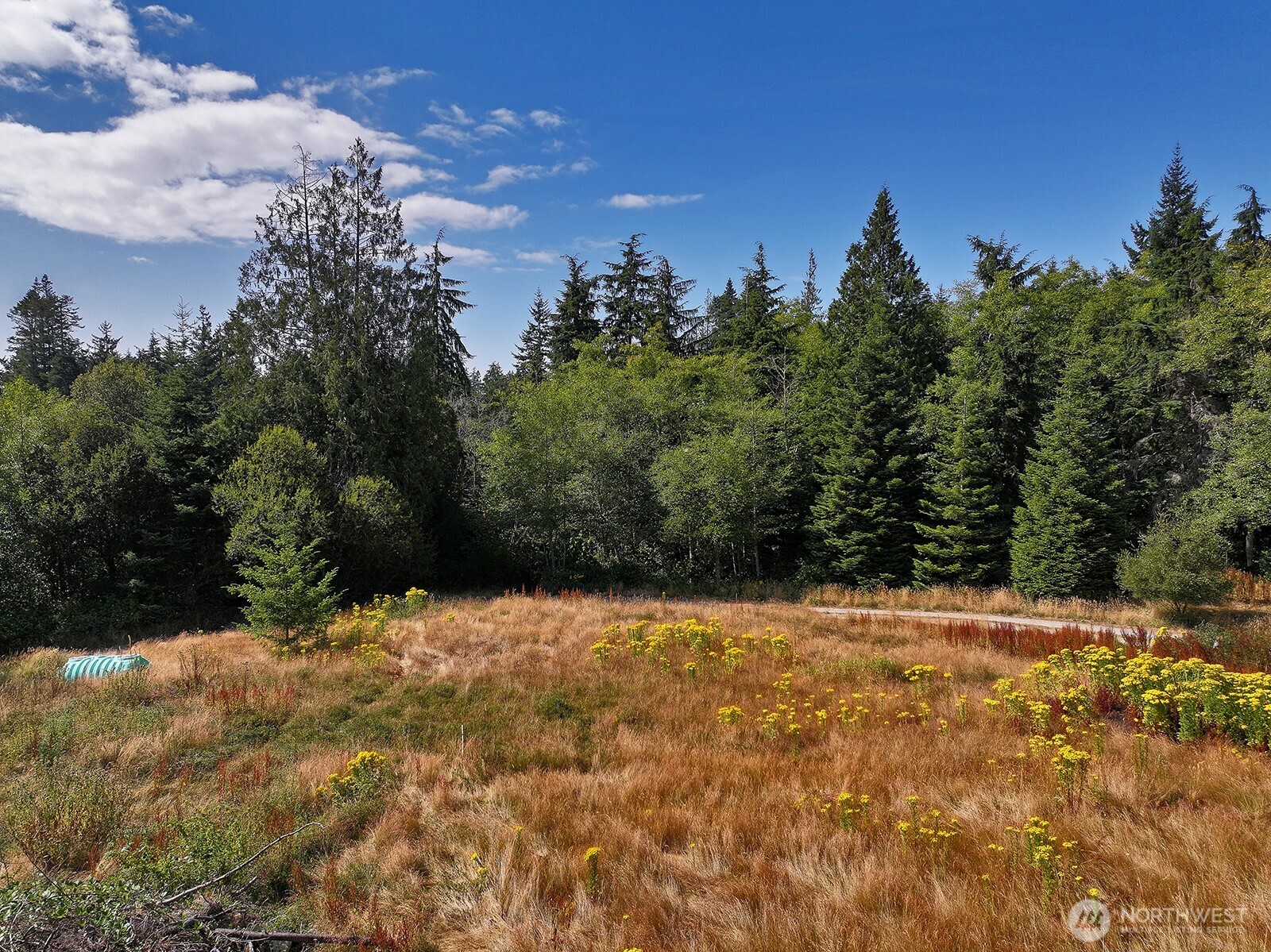 3849 East Harbor Road Langley, WA 98260 - Photo 15 of 22 Gallery Image 15