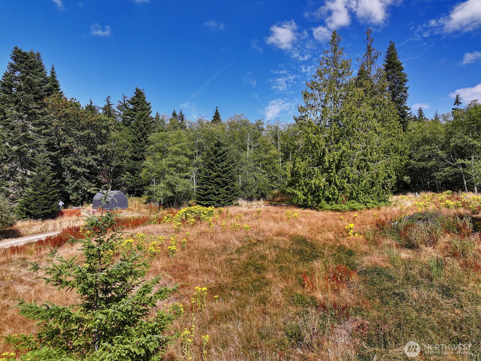3849 East Harbor Road Langley, WA 98260 - Photo 6 of 22 Gallery Image 6