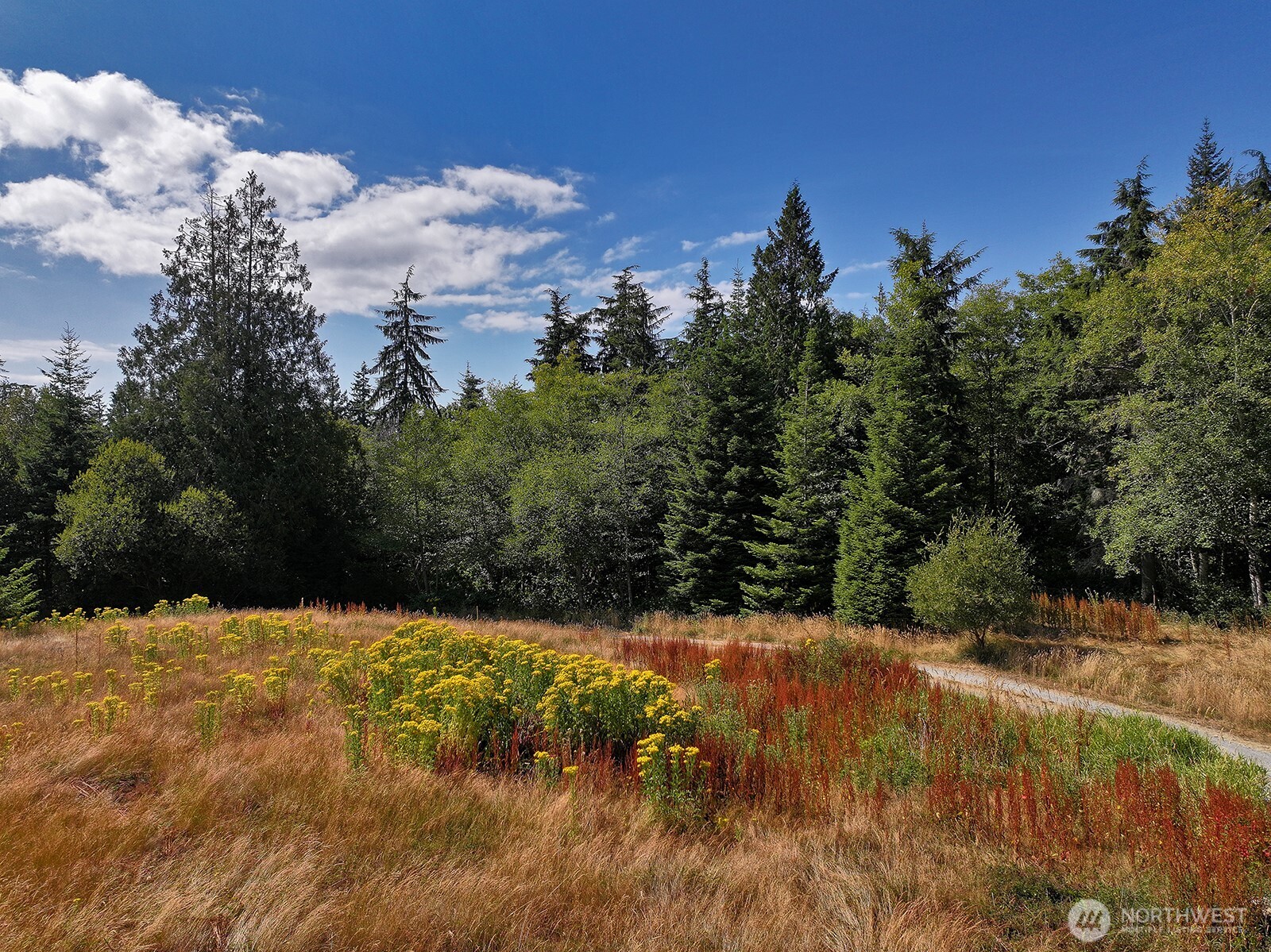 3849 East Harbor Road Langley, WA 98260 - Photo 8 of 22 Gallery Image 8