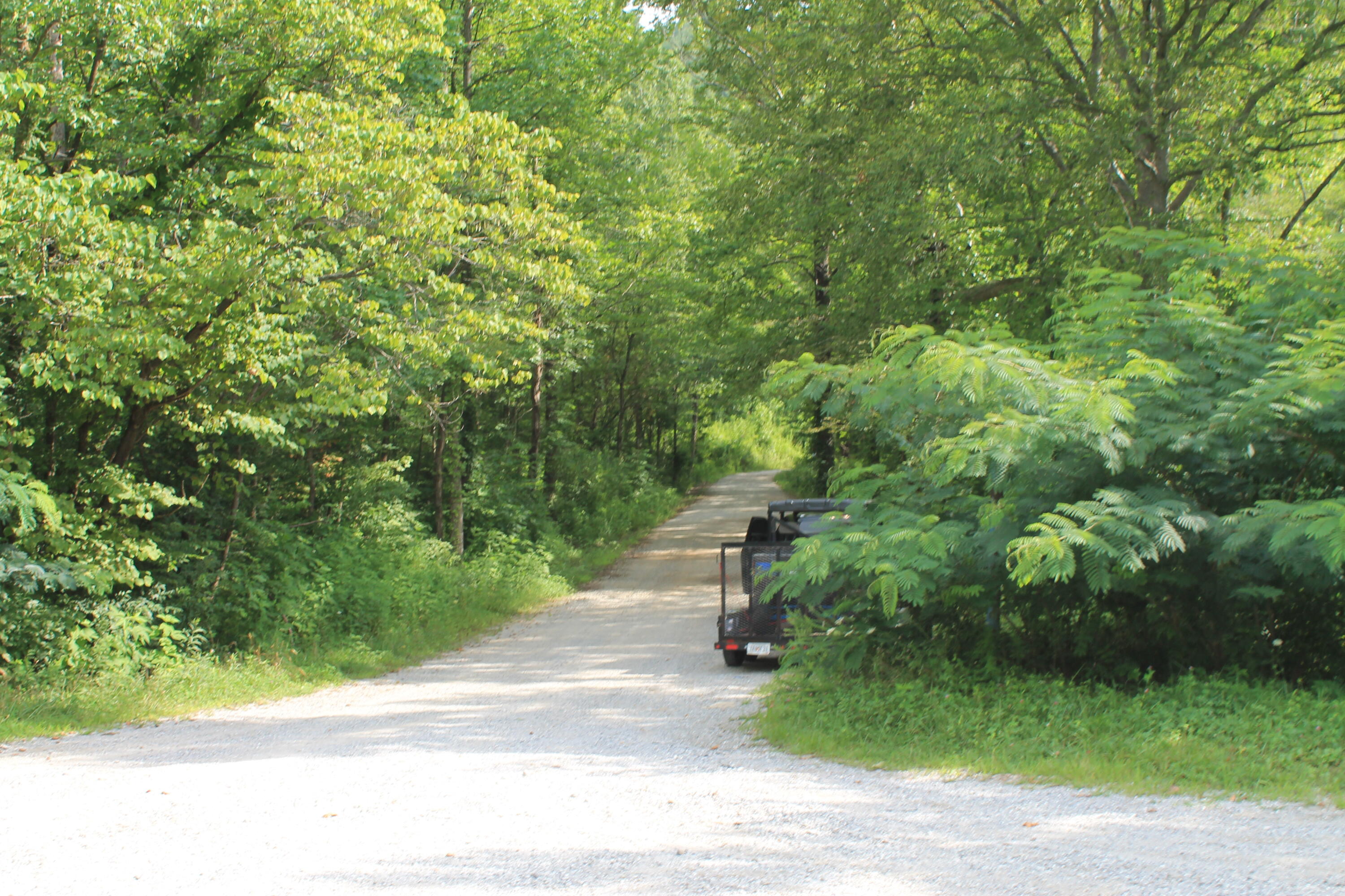 3 Straight Fork Road, Unit TRACT 3 Huntsville, TN 37756 - Photo 8 of 9 Tract 3 Drive