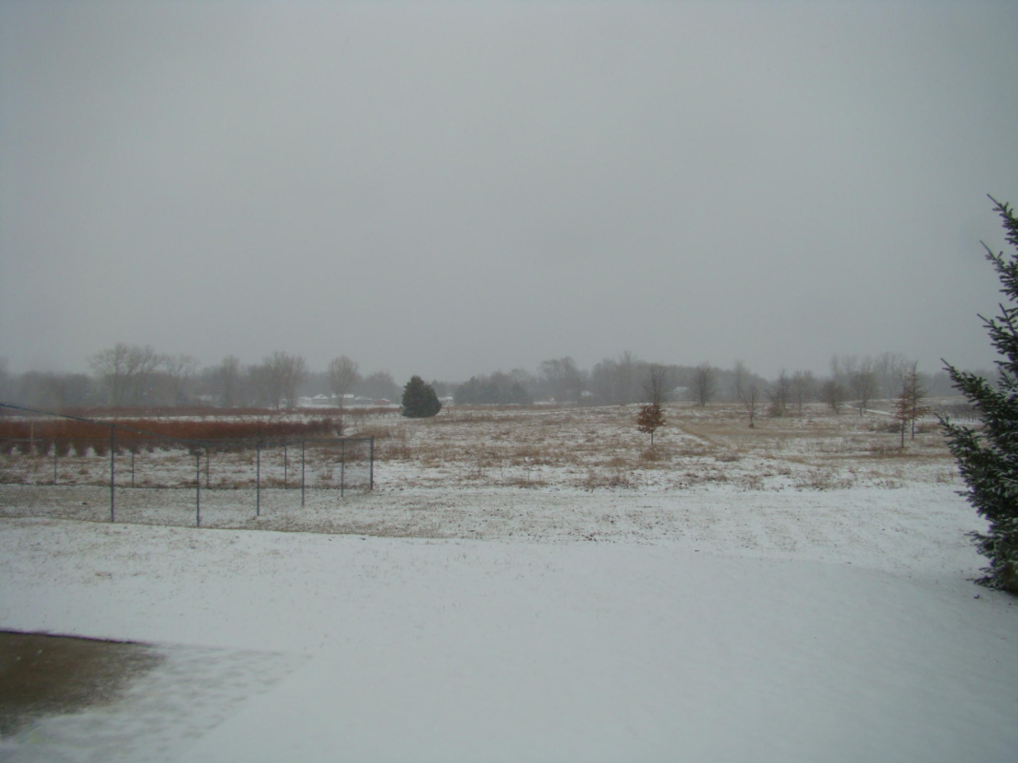 4316 Schmuhl Road Coloma, MI 49038 - Photo 53 of 62 DSC05185.JPG