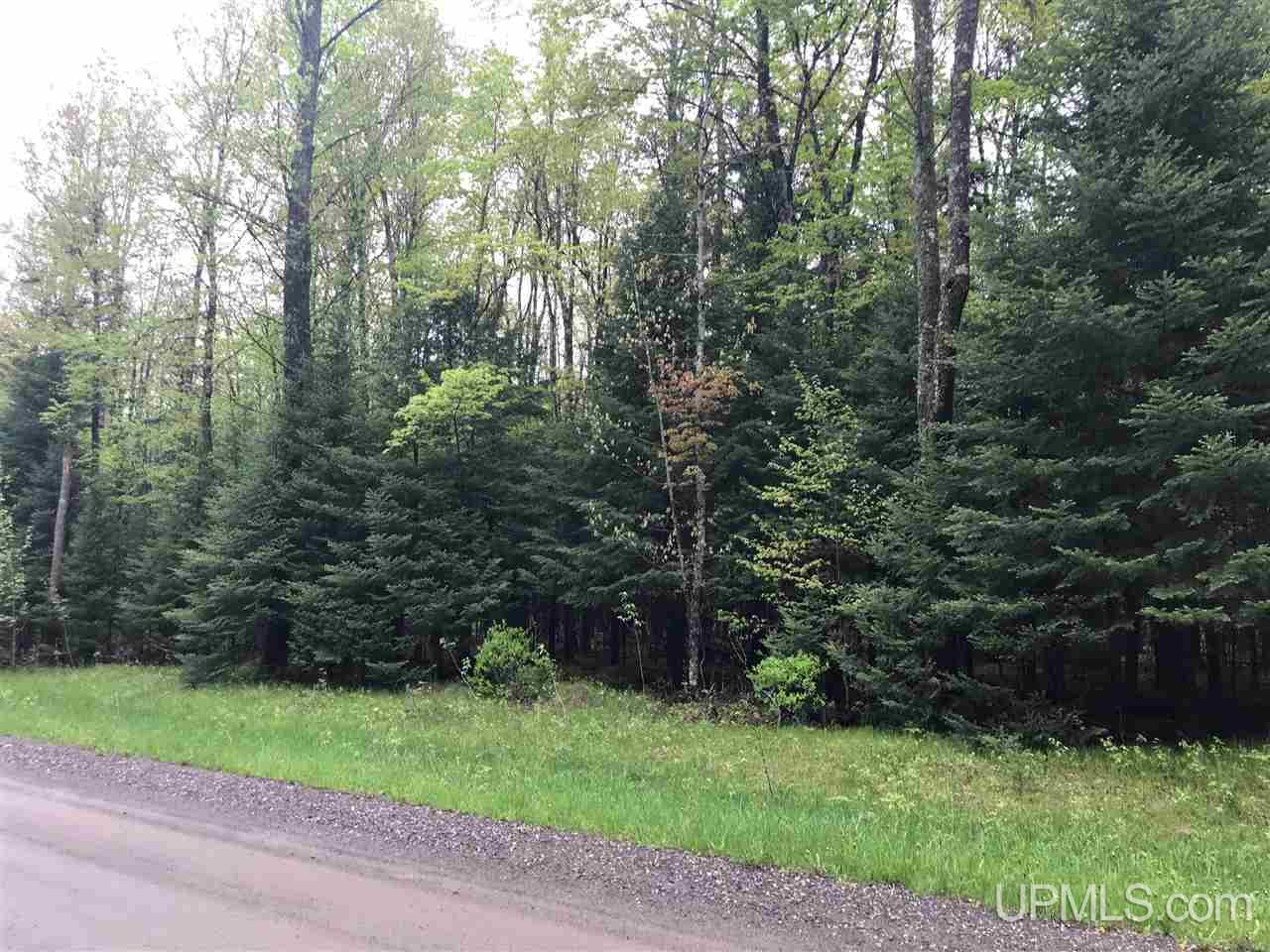 T-wi Cross Cut Road Florence, WI 54121 - Photo 1 of 5