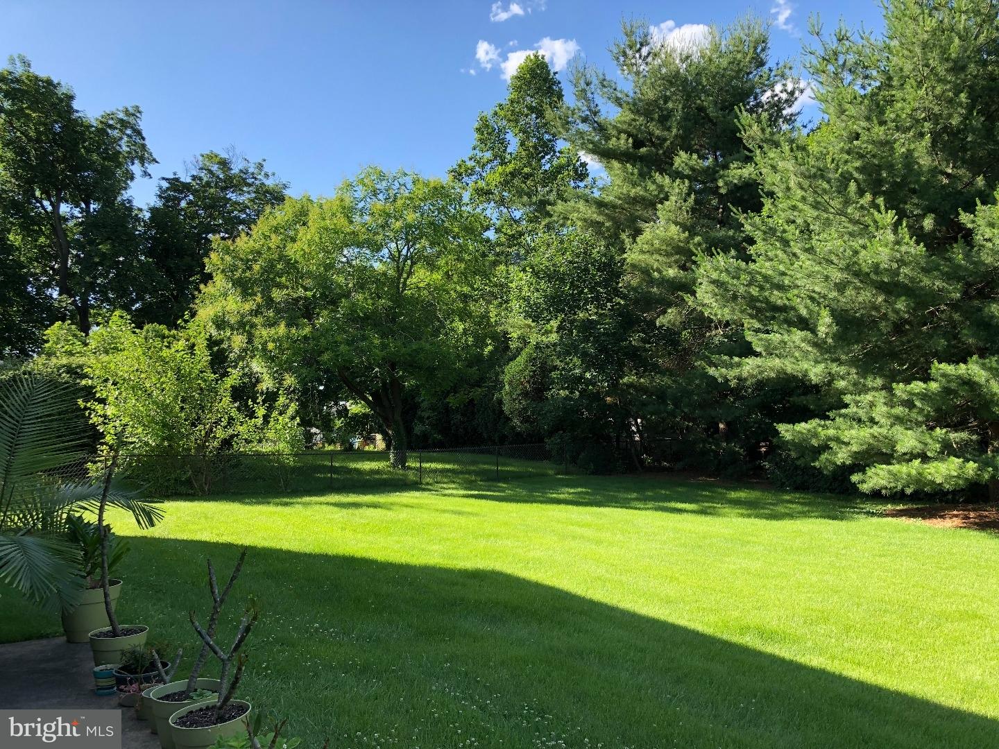 115 Red Lion Road Huntingdon Valley, PA 19006 - Photo 10 of 11 Back Yard