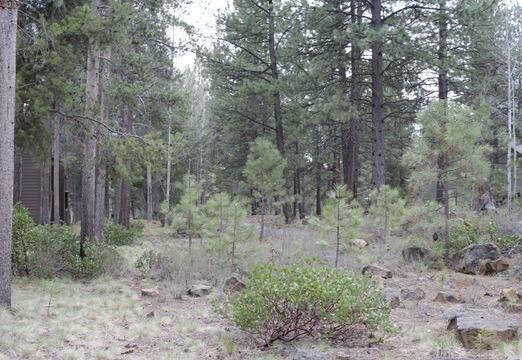 57367 Beaver Ridge Loop, Unit 25B Sunriver, OR 97707 - Photo 2 of 22 18-Rear terrain-R25