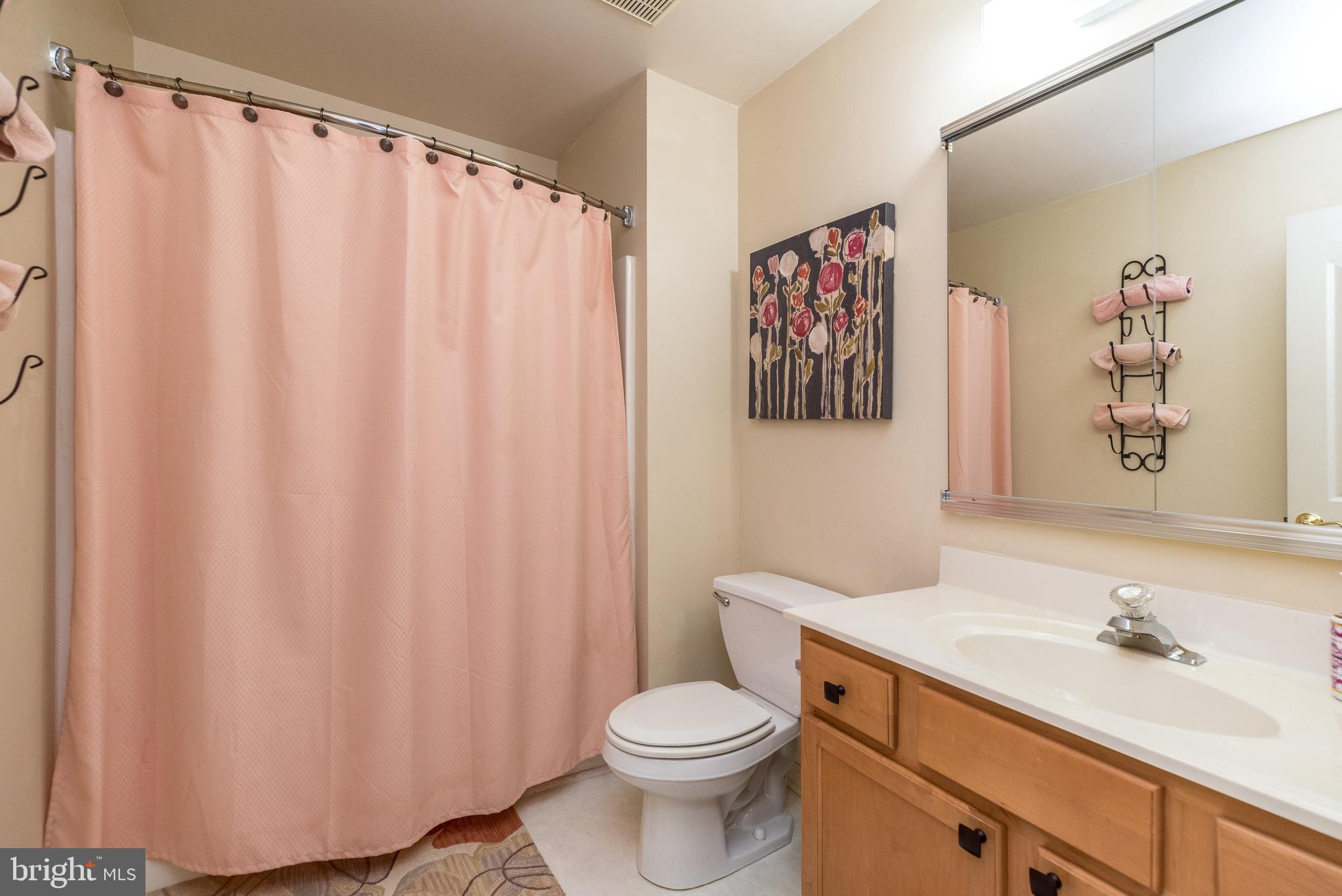 329 Manor Road Harleysville, PA 19438 - Photo 29 of 39 a bathroom with a sink and a toilet
