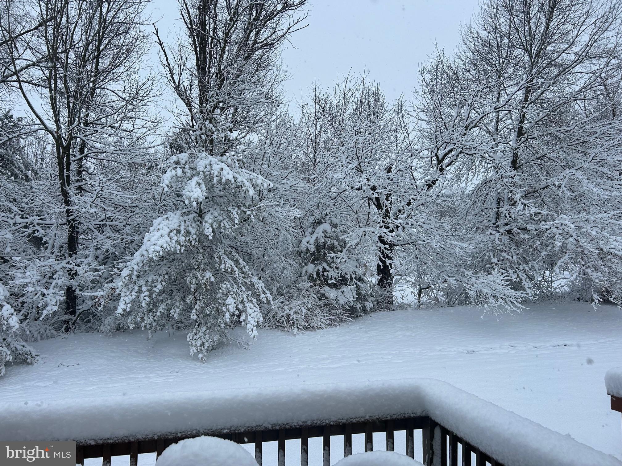 329 Manor Road Harleysville, PA 19438 - Photo 4 of 39