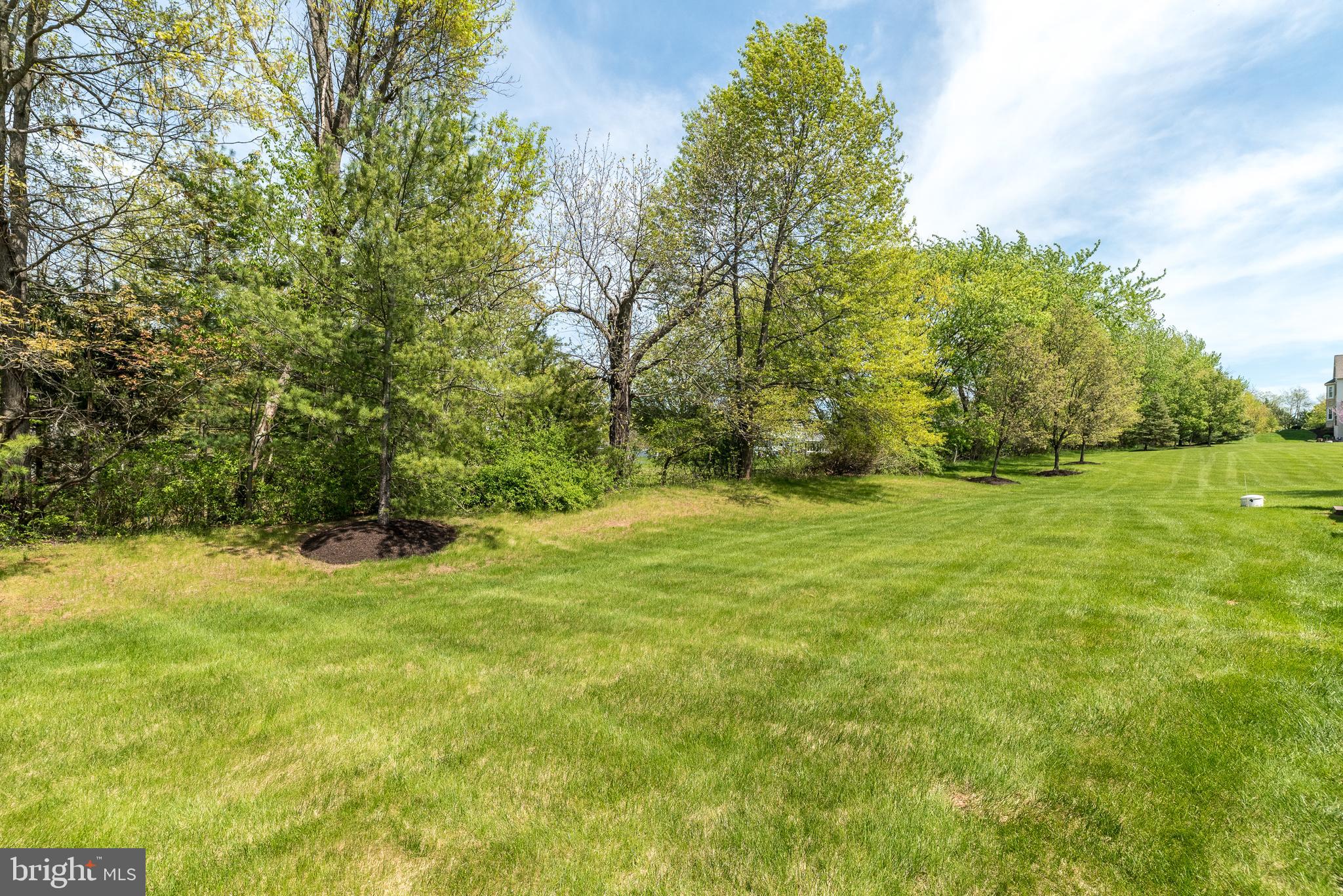 329 Manor Road Harleysville, PA 19438 - Photo 5 of 39 a view of a field with trees in the background