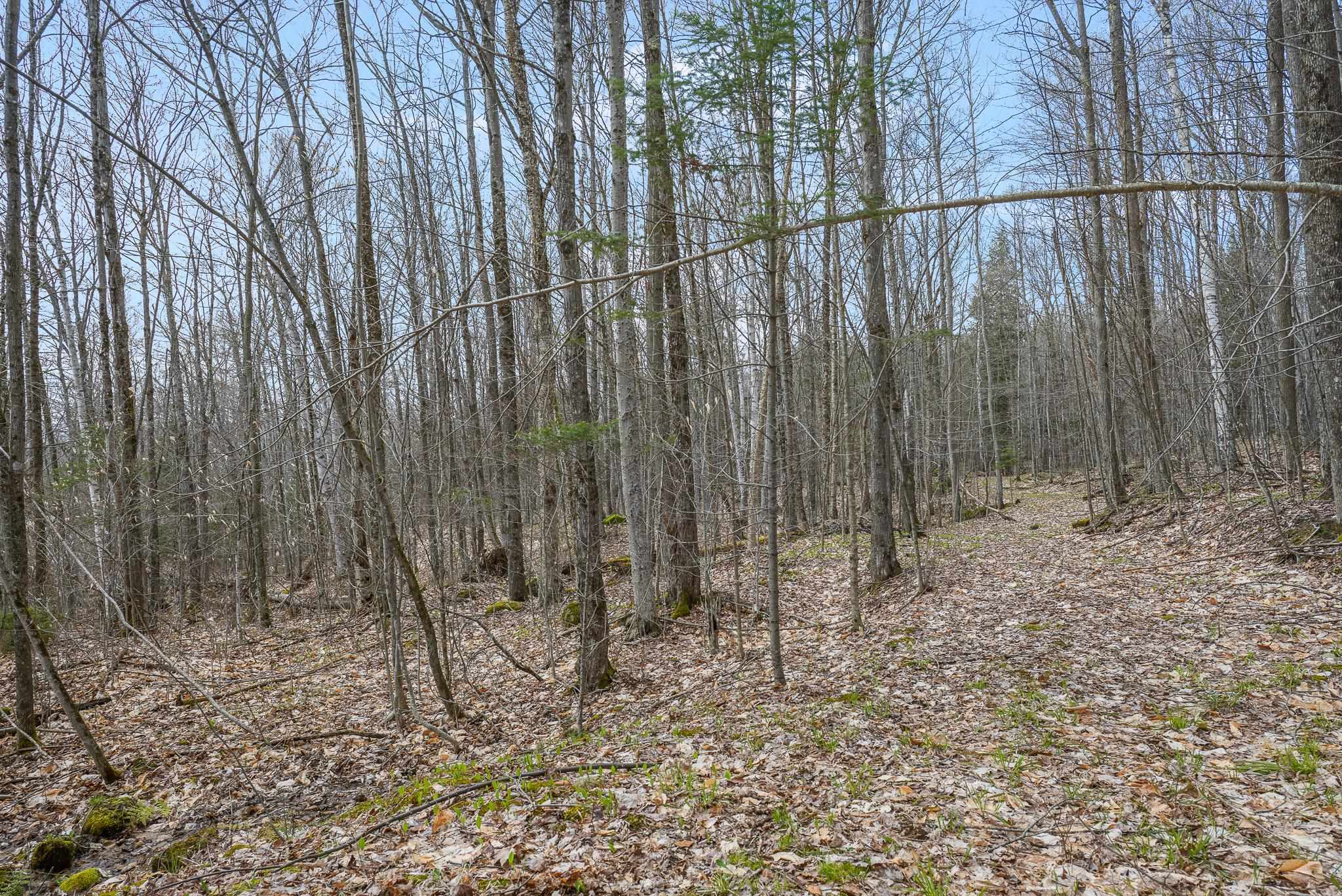 68 Rowell Road Lancaster, NH 03584 - Photo 49 of 59