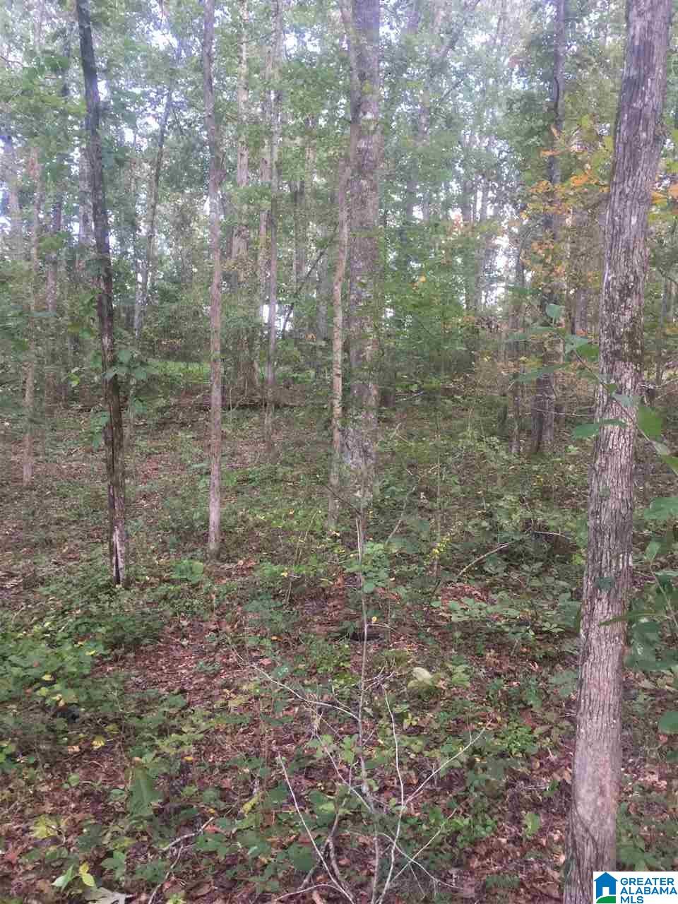 241 Sulphur Springs Road, Unit 9 89 ACRES Lincoln, AL 35096 - Photo 13 of 44