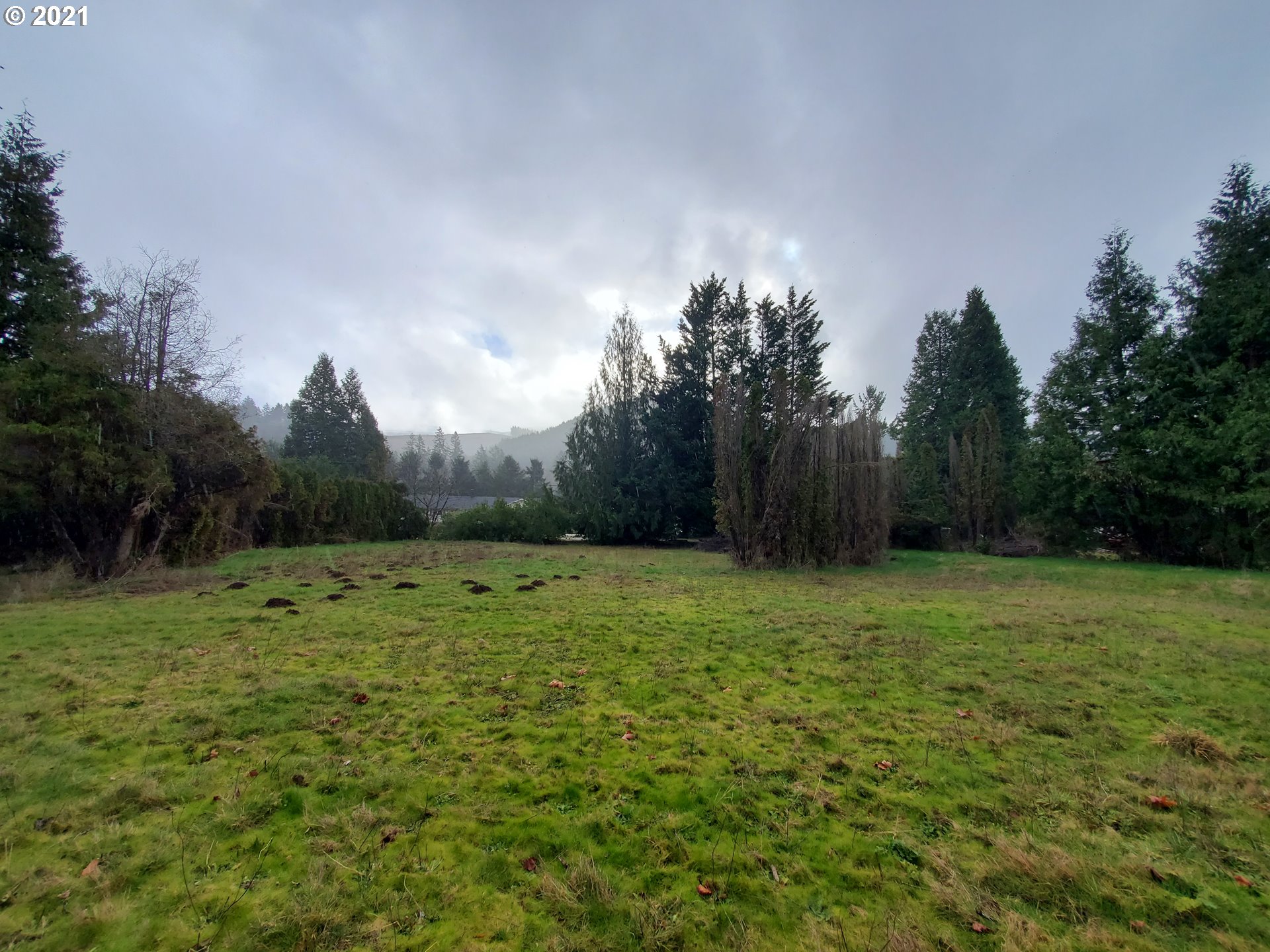 Madrone Springfield, OR 97478 - Photo 1 of 4 Gallery Image 1