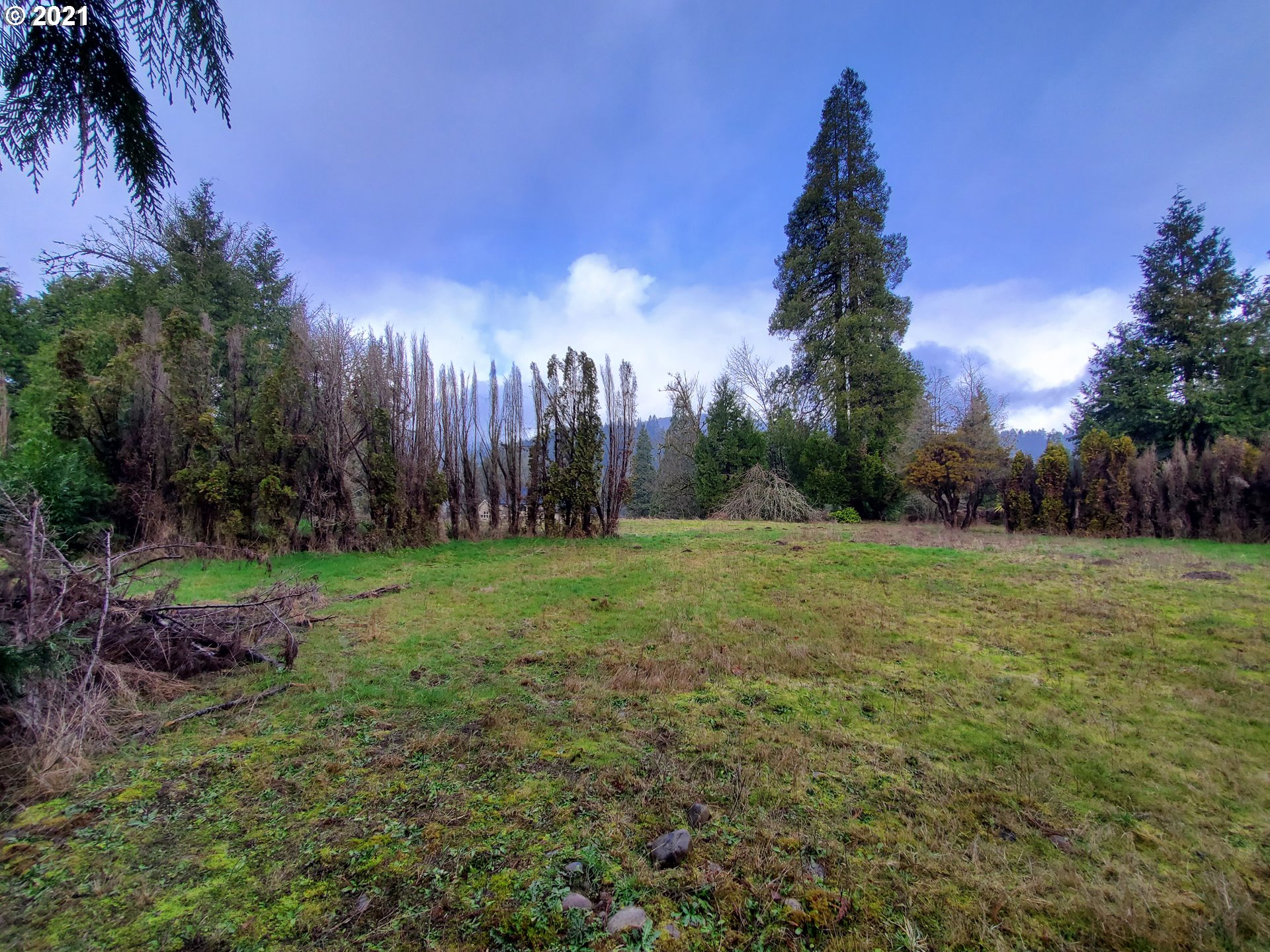 Madrone Springfield, OR 97478 - Photo 3 of 4 Gallery Image 3