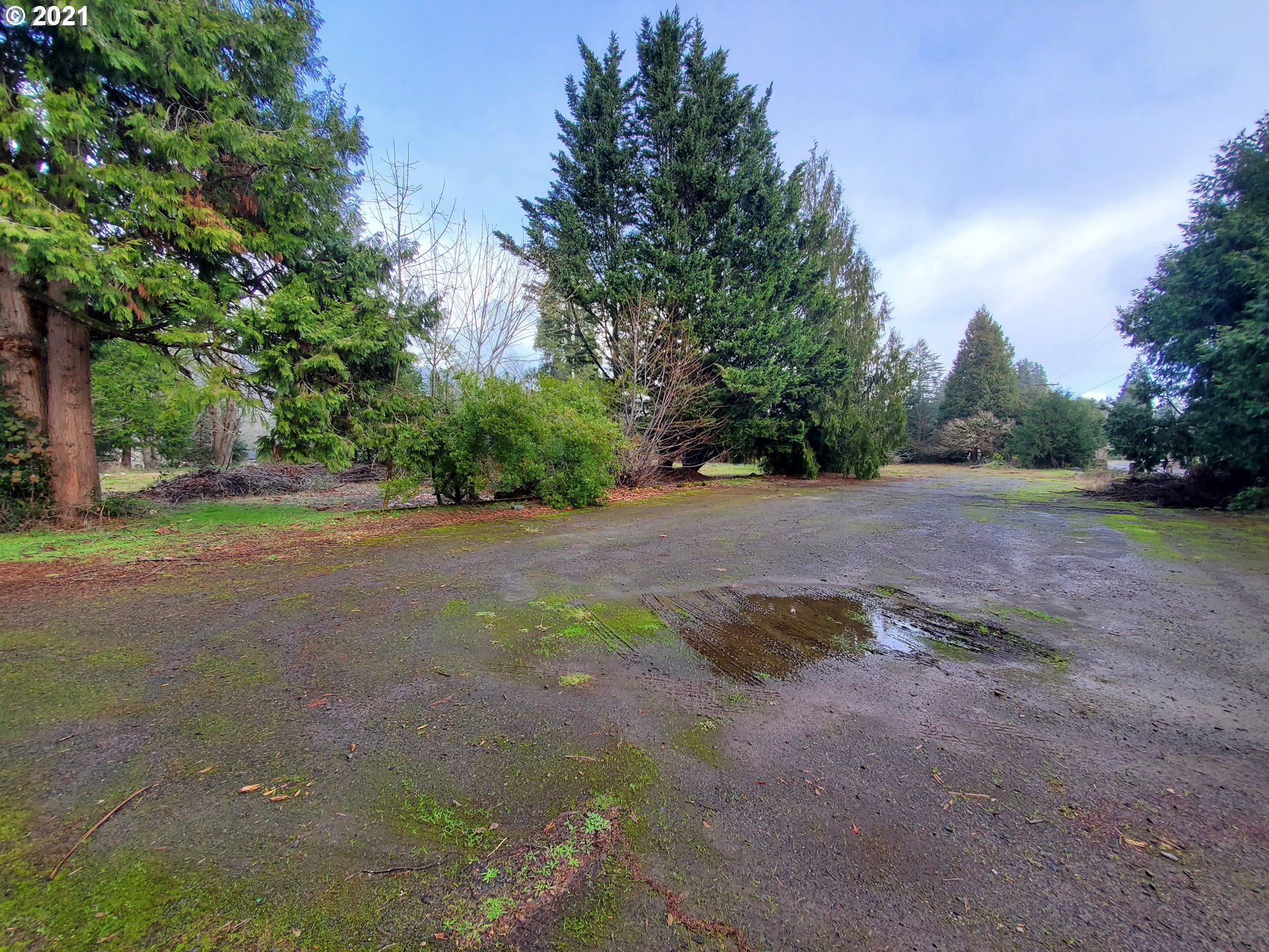 Madrone Springfield, OR 97478 - Photo 4 of 4 Gallery Image 4