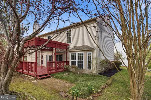 a flower plants in front of a window