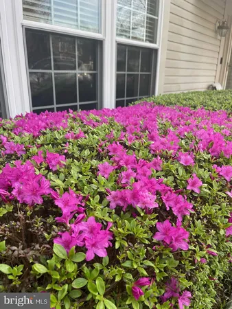 a view of a garden with a bench