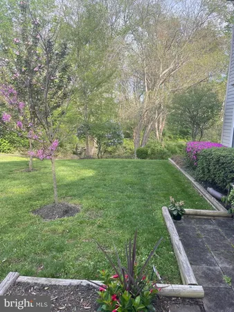 a view of a flower and flowers in a yard