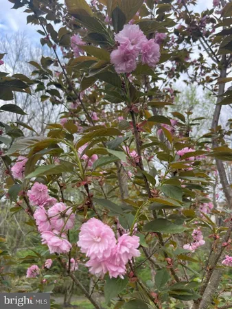 a view of a white vase with flowers in front of the house