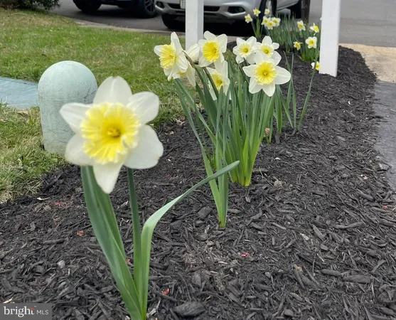 a picture of a wall with a white wall and white walls