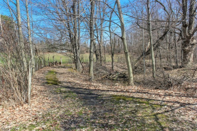 4196 Middle Ridge Road Perry, OH 44081 - Photo 9 of 25