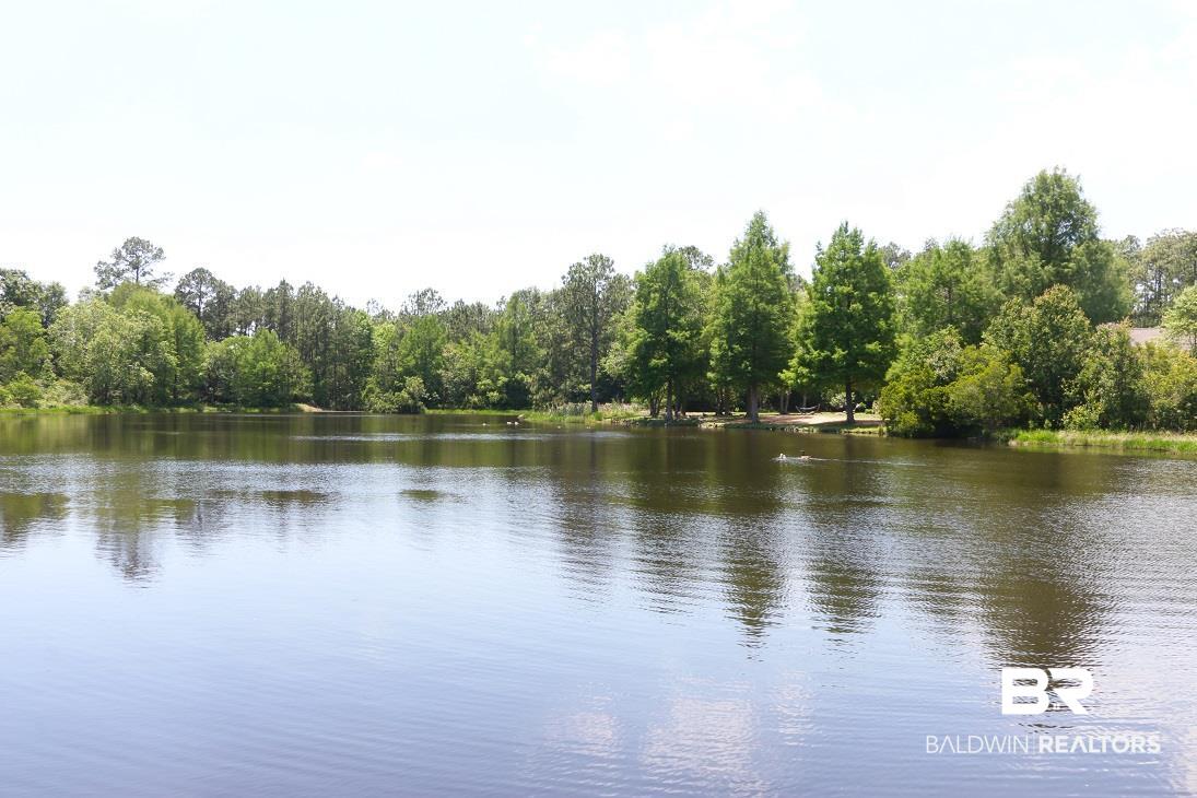 23720 Highway 98 Elberta, AL 36530 - Photo 9 of 23