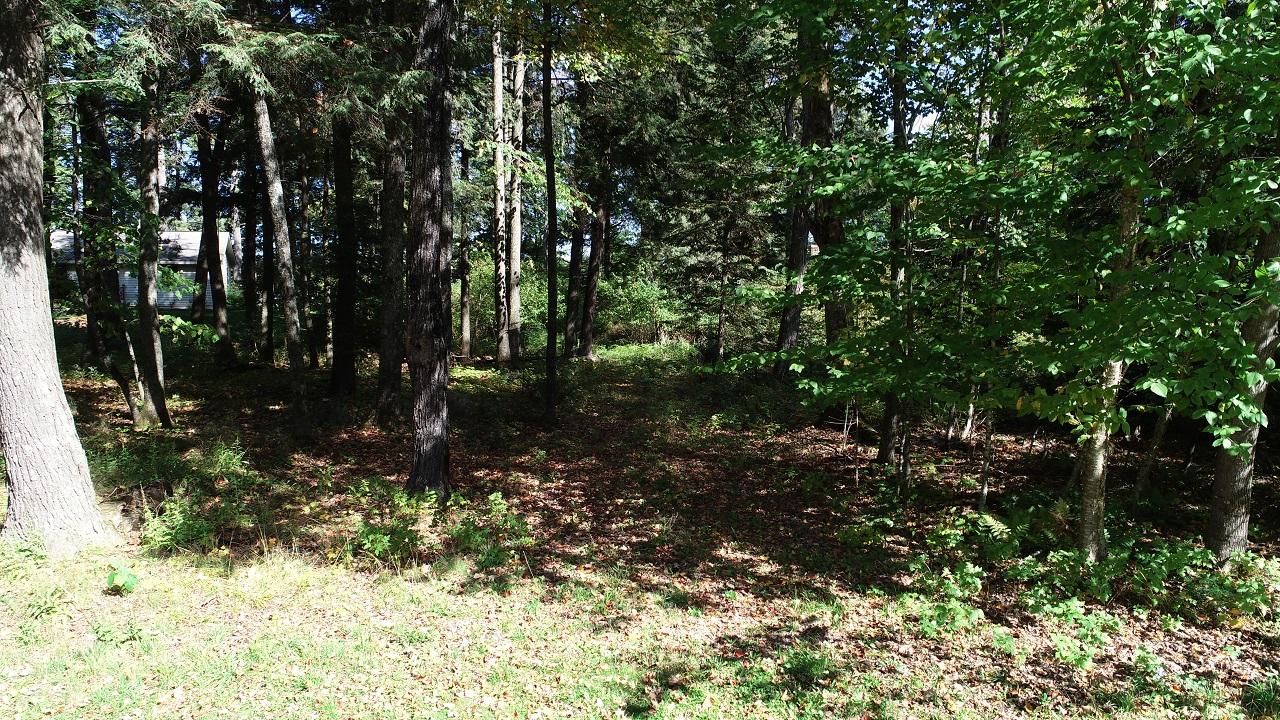 Lot 9 Stafford Point Road North Mercer, WI 54547 - Photo 17 of 28 Gallery Image 17