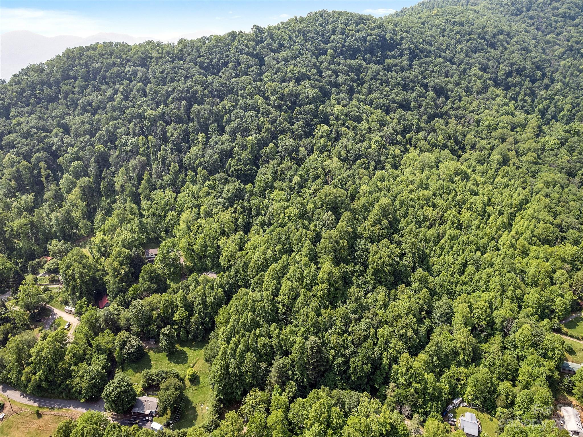 1053 Hall Top Road Waynesville, NC 28786 - Photo 13 of 27 a view of a forest with a street