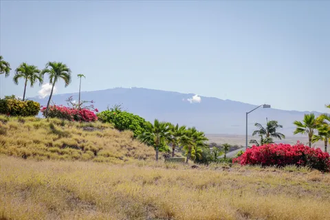 a view of a garden with flowers