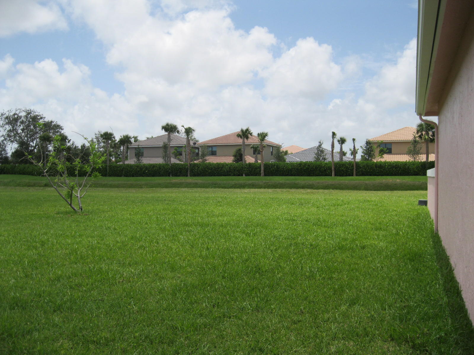 7744 Mansfield Hollow Road Delray Beach, FL 33446 - Photo 47 of 65 Side yard 2