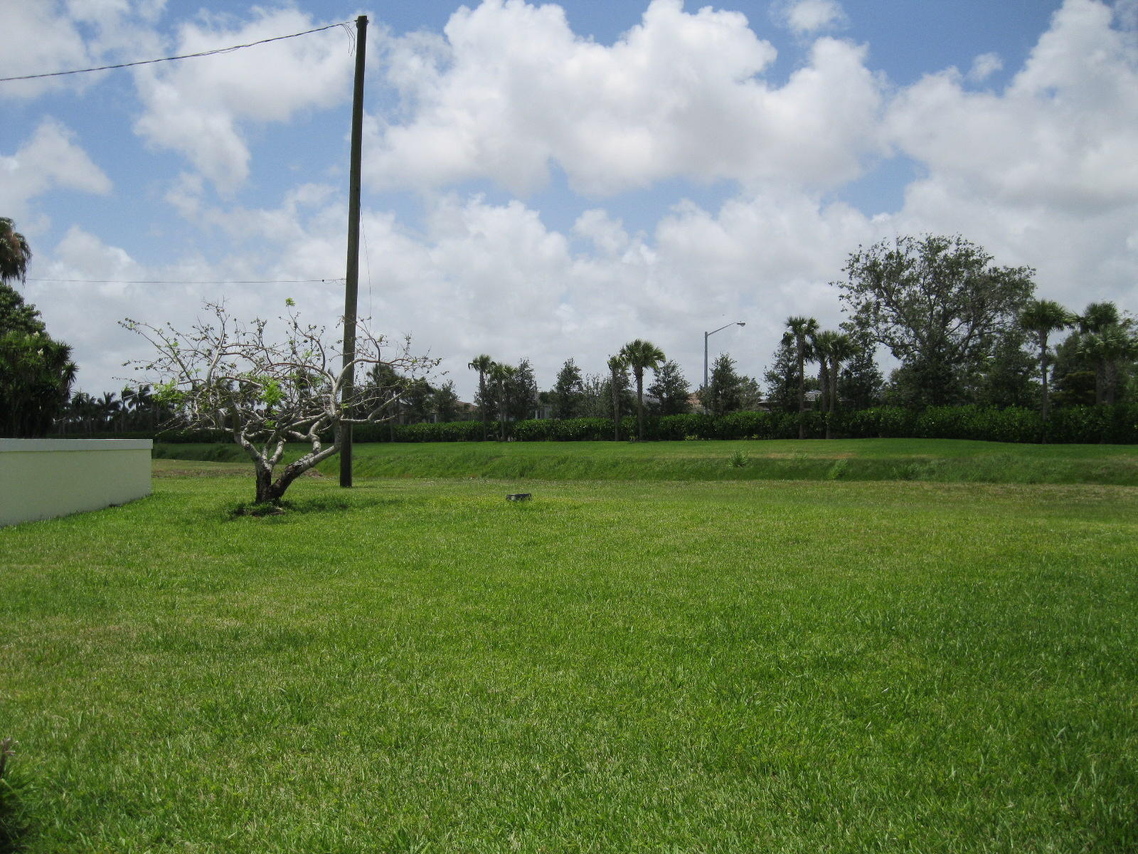 7744 Mansfield Hollow Road Delray Beach, FL 33446 - Photo 57 of 65 Back ext. yard 1