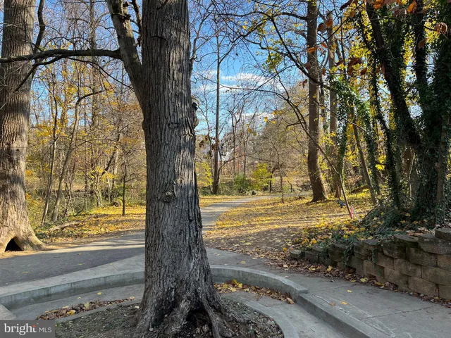 $1,000 | 8009 Garland Avenue, Unit 3, Takoma Park, MD 20912