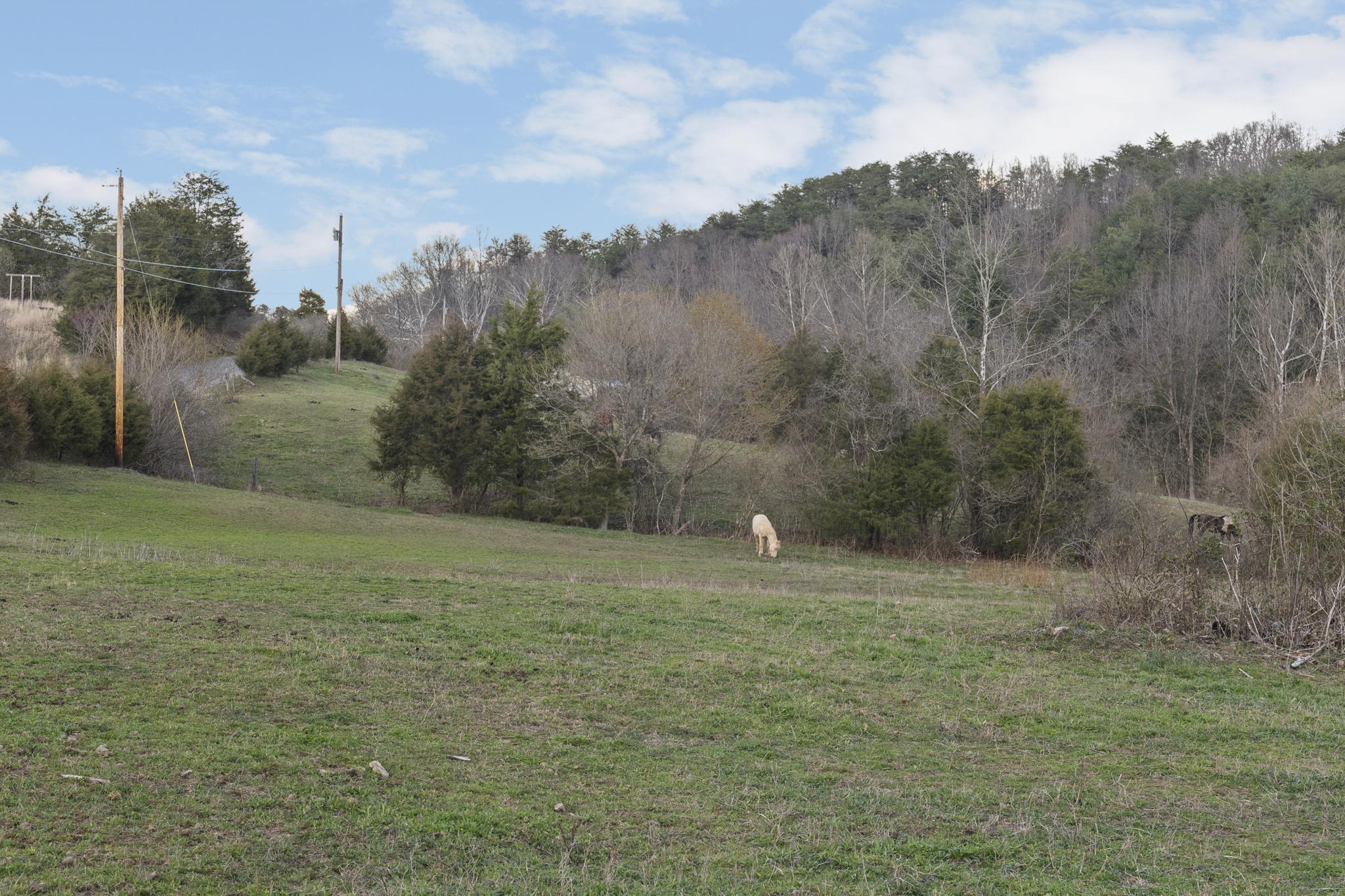 Tbd Taylor Road Fall Branch, TN 37656 - Photo 38 of 39 32-web-or-mls-DSC02595