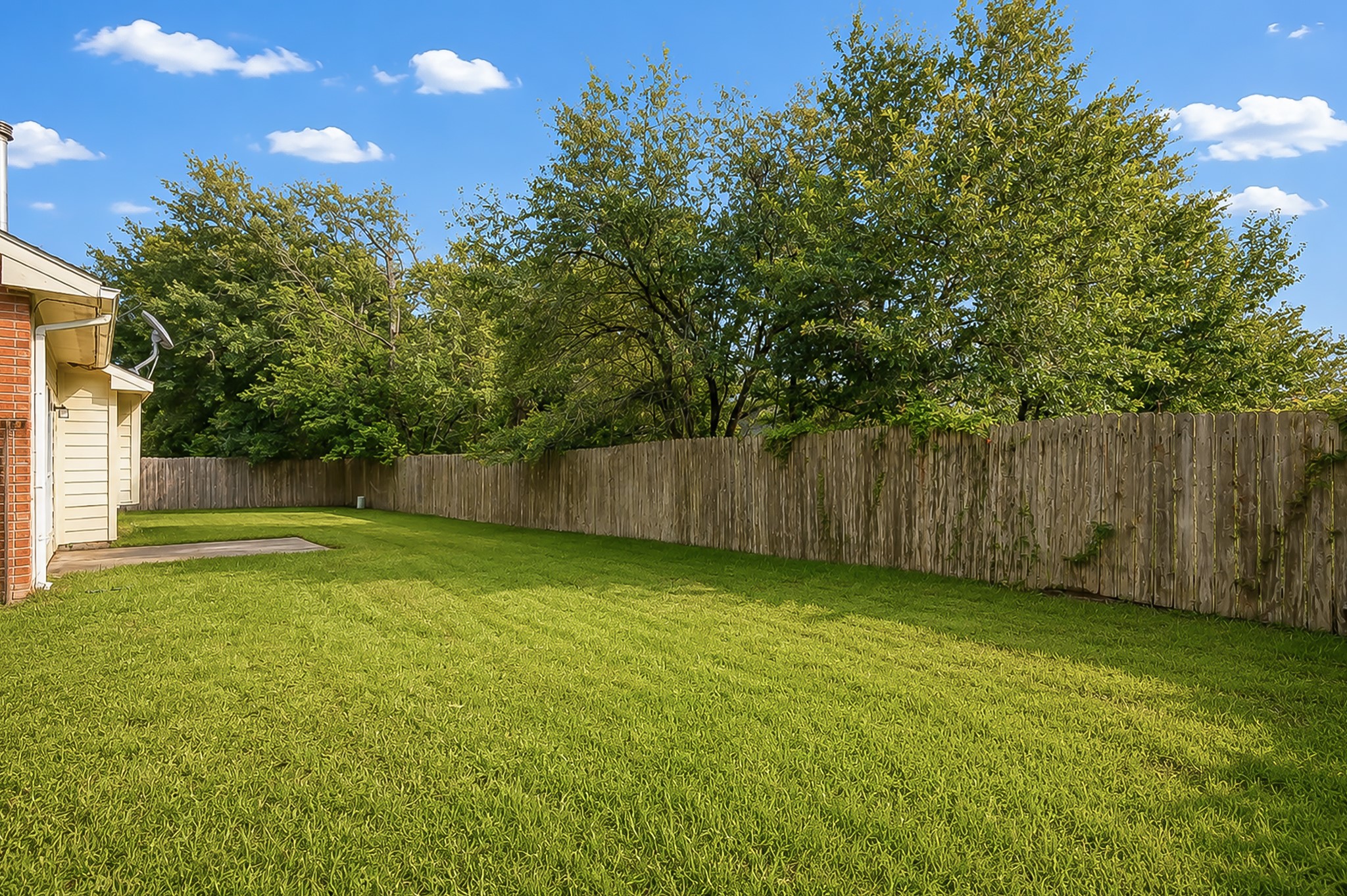631 Timberstand Lane Spring, TX 77373 - Photo 35 of 38 The backyard features mature trees beyond the fence line, offering added privacy and a peaceful outdoor setting.