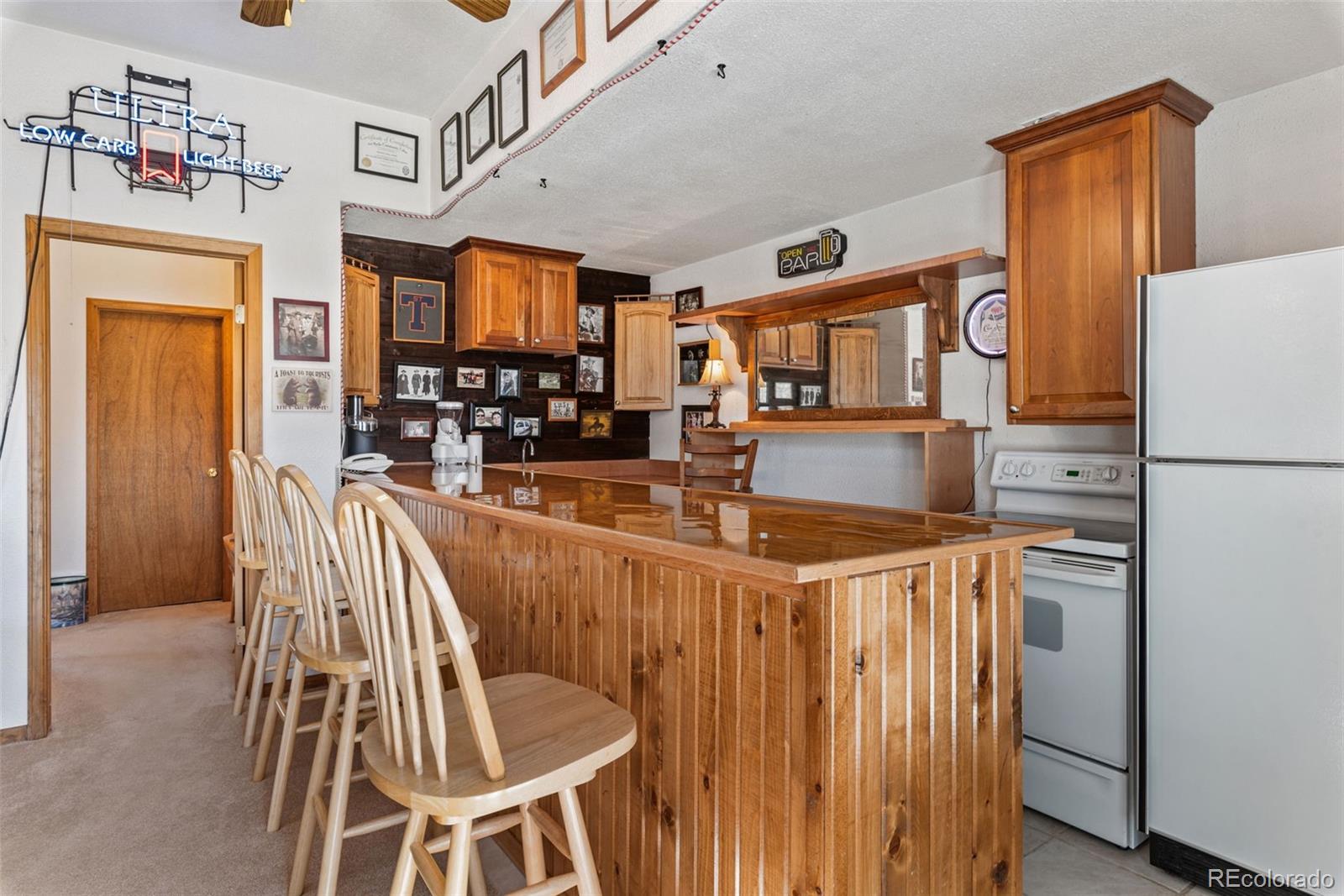 172 Silver Springs Road Bailey, CO 80421 - Photo 20 of 29 Gallery Image 20