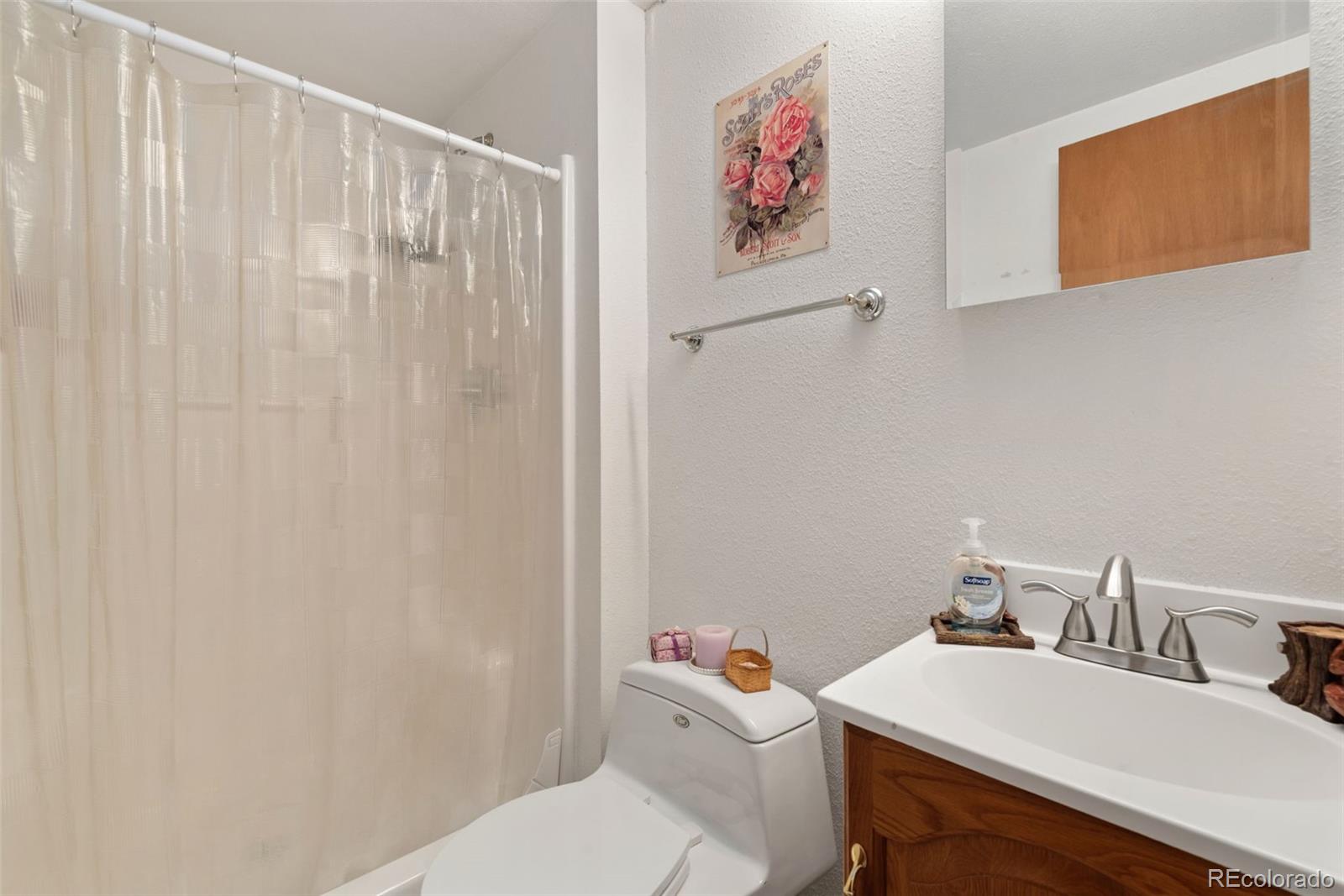 172 Silver Springs Road Bailey, CO 80421 - Photo 22 of 29 Gallery Image 22