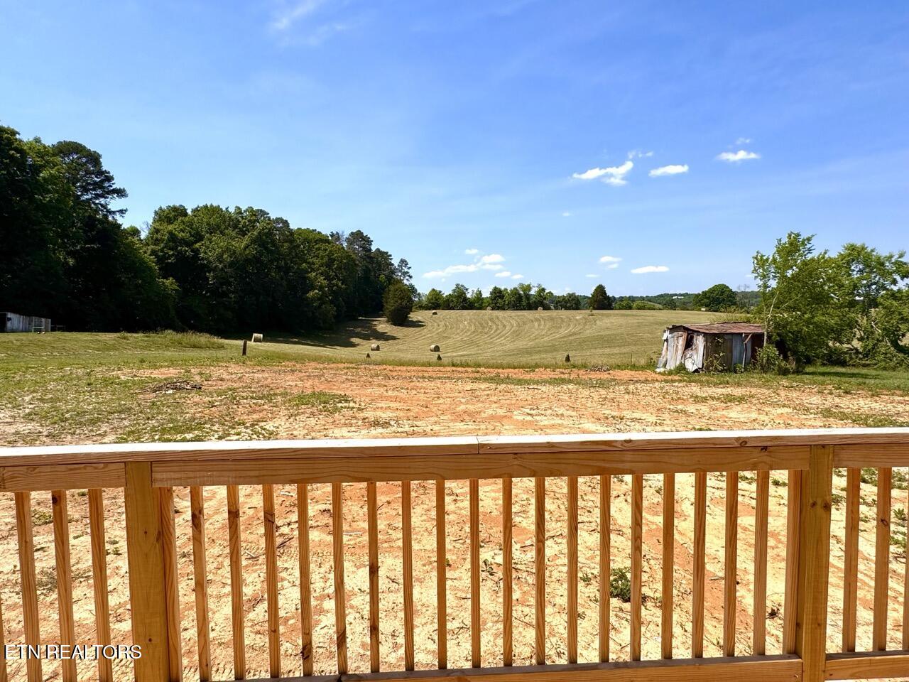 620 Pates Hill Road Mosheim, TN 37818 - Photo 49 of 51 Back yard from deck