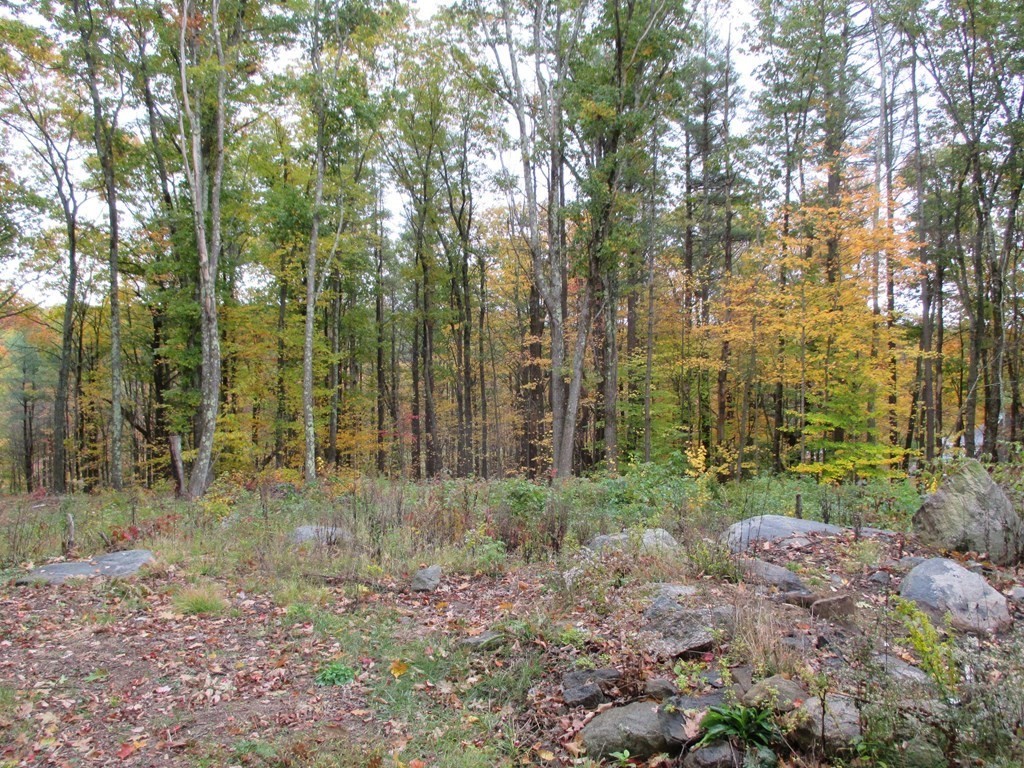 170 Athol Road Phillipston, MA 01331 - Photo 6 of 13