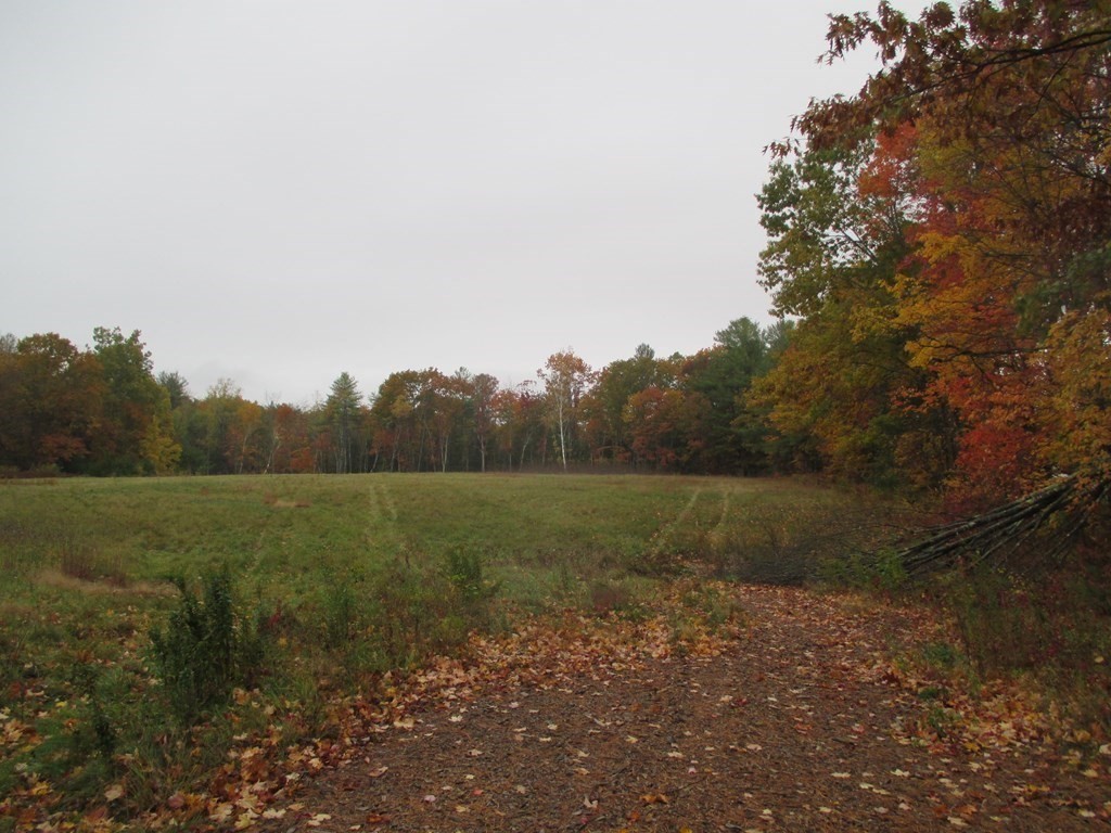 170 Athol Road Phillipston, MA 01331 - Photo 9 of 13