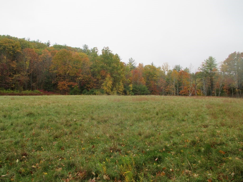 170 Athol Road Phillipston, MA 01331 - Photo 10 of 13