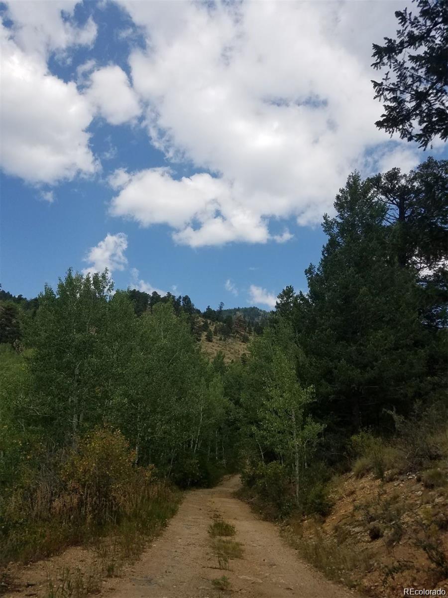 6194 Pyrenees Trail Golden, CO 80403 - Photo 5 of 9 a view of a city with green space