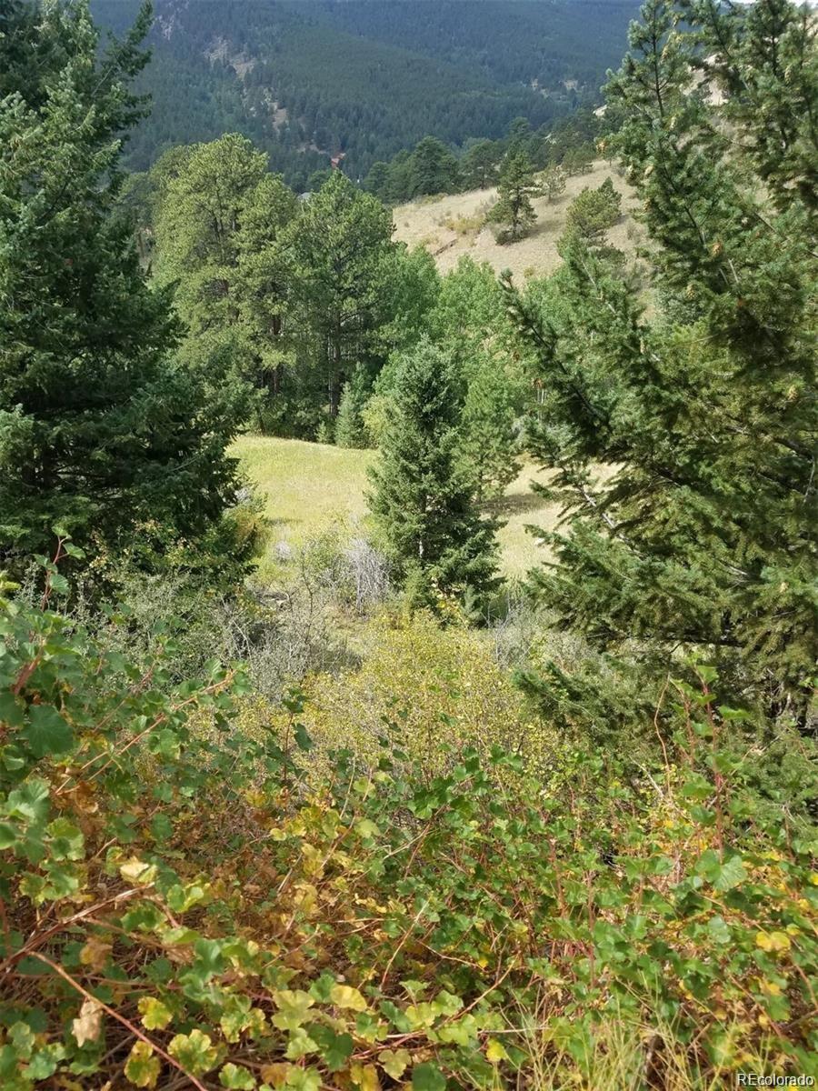 6194 Pyrenees Trail Golden, CO 80403 - Photo 7 of 9