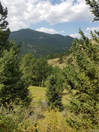 a view of a bunch of trees