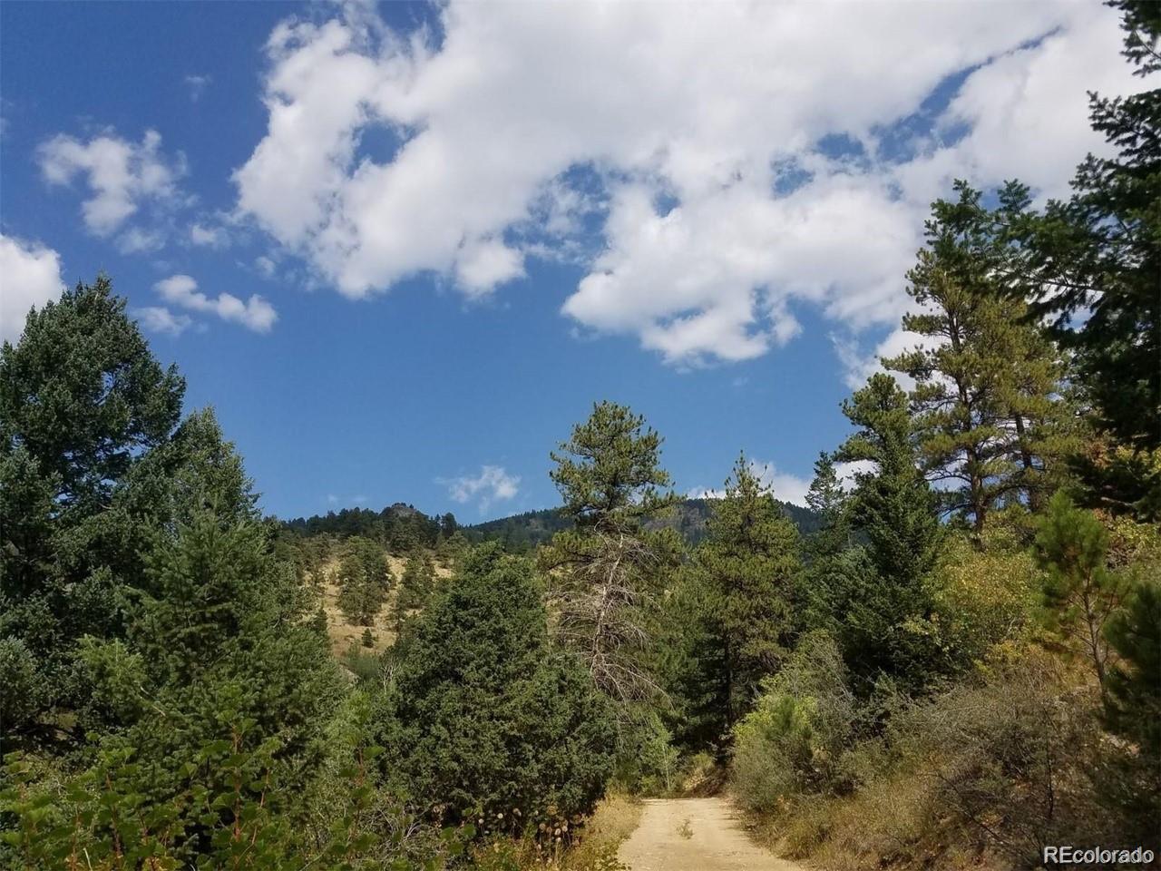 6194 Pyrenees Trail Golden, CO 80403 - Photo 9 of 9 a view of a bunch of trees