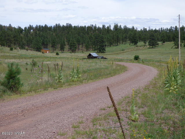 Lot 7 The Ranch Alpine, AZ 85920 - Photo 15 of 24 Gallery Image 15