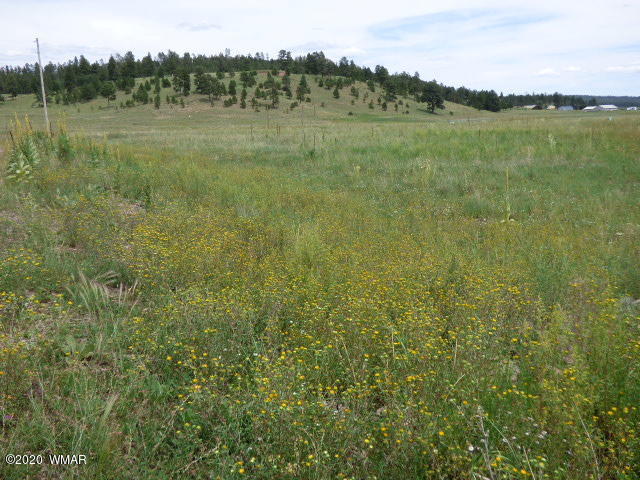 Lot 7 The Ranch Alpine, AZ 85920 - Photo 8 of 24 Gallery Image 8