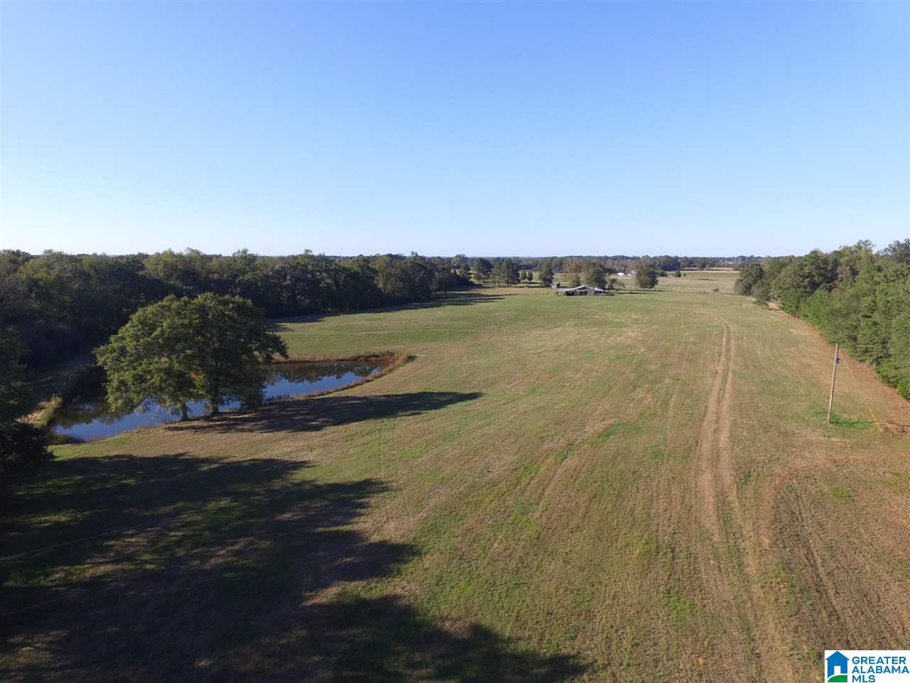 567 Dial Road Blountsville, AL 35031 - Photo 13 of 46